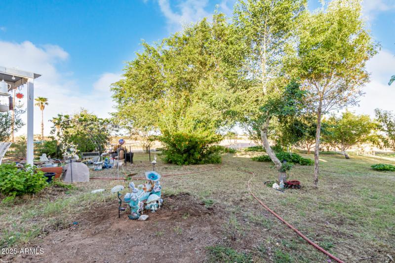 7 - John Jacob Astor 7378