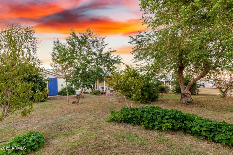 22 - John Jacob Astor 7378