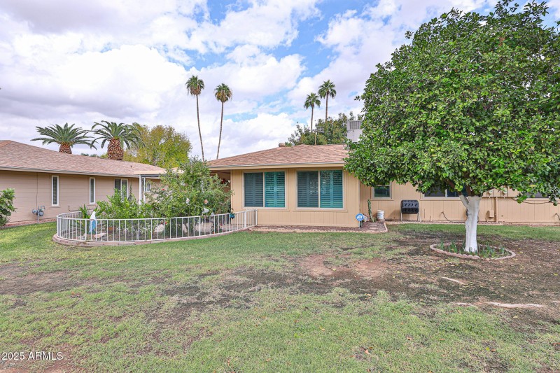 Homeowners Orange Tree