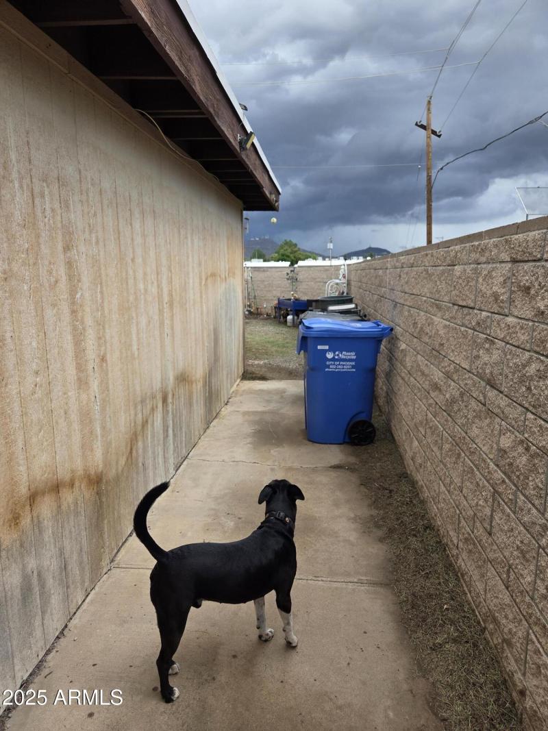 20251013_132805 bkyd 2