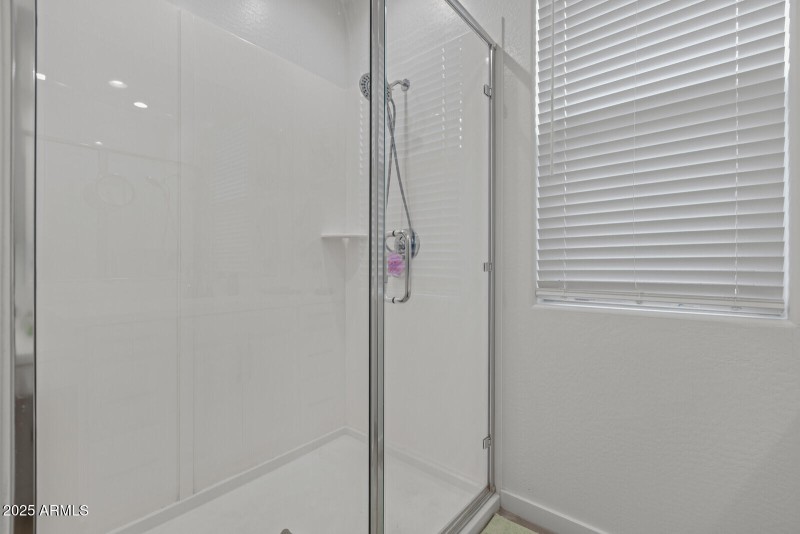 Primary Shower