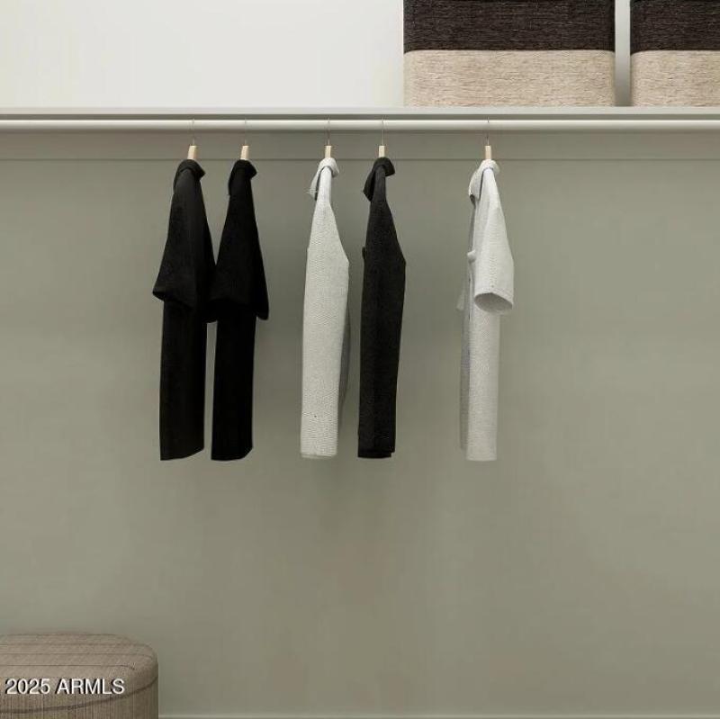 Owners Walk in Closet