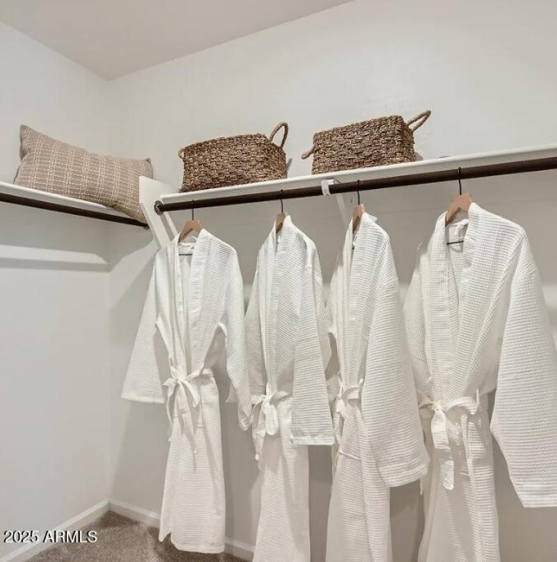 Owners Walk in Closet