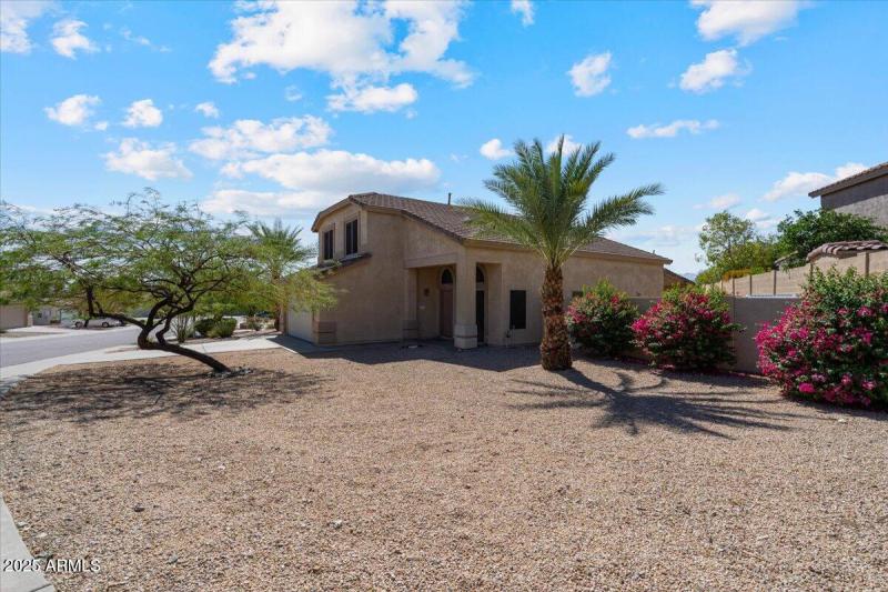 Mountain View Primary