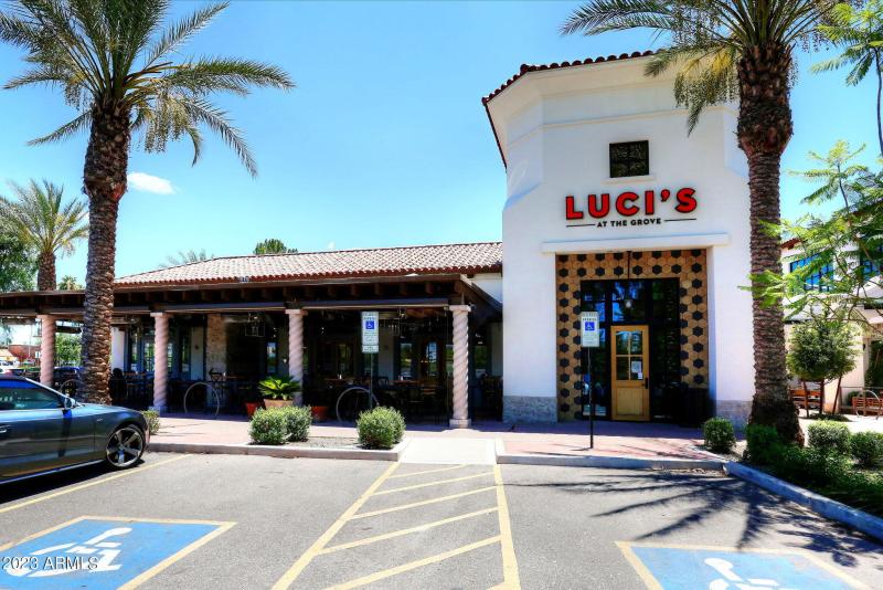 Lucy's