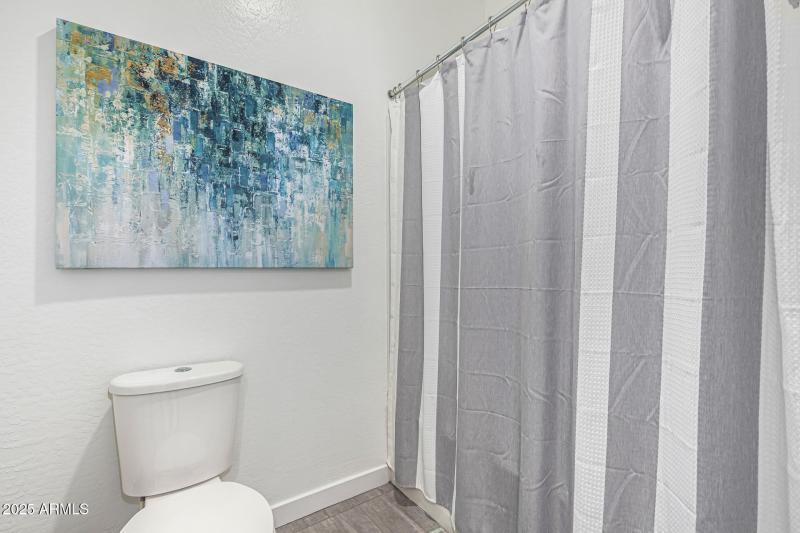 Full hallway bathroom