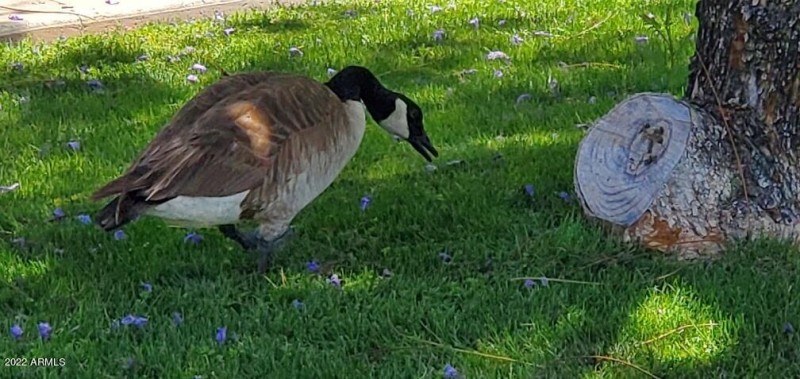 20220423_121210_resized