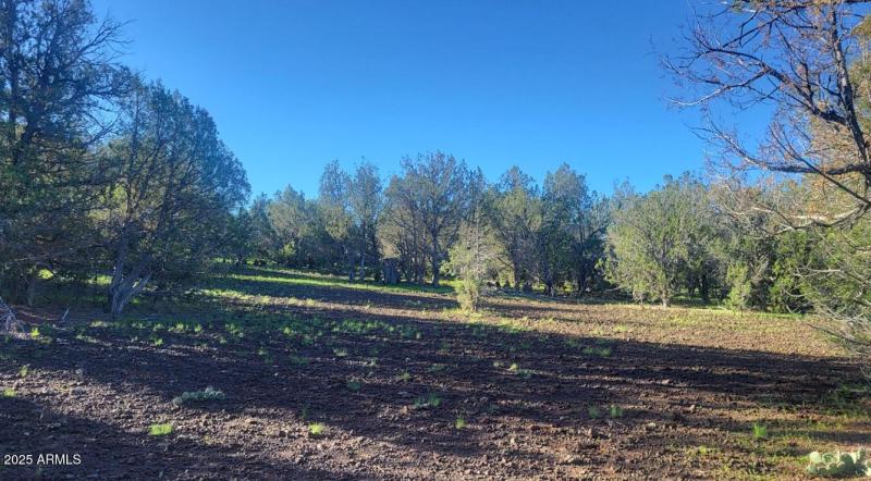 thumbnail_20250909_080328