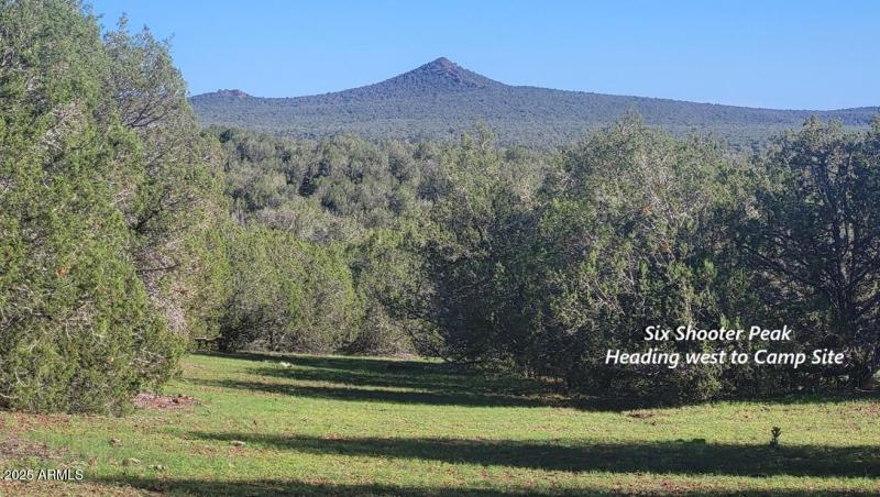 thumbnail_20250909_081730