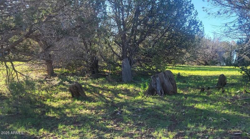 thumbnail_20250909_081801