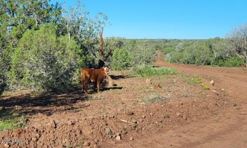 thumbnail_20250909_082948