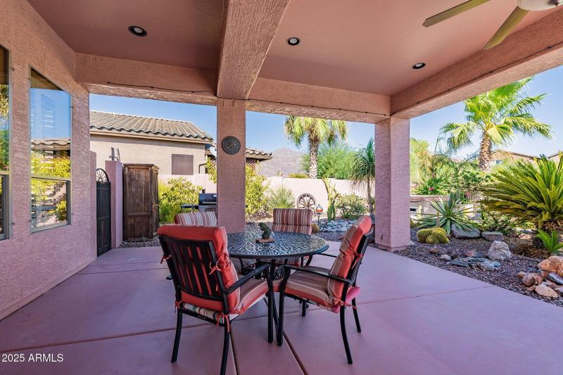 52-web-or-mls-Pony-52