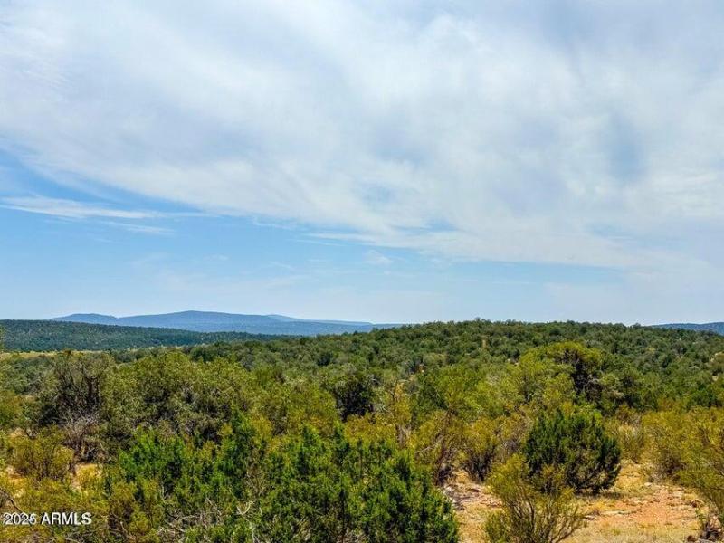 20240803040007734628000000-o (2)