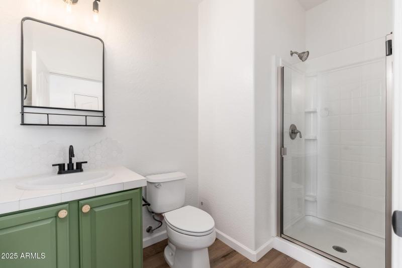 Full Downstairs Bathroom