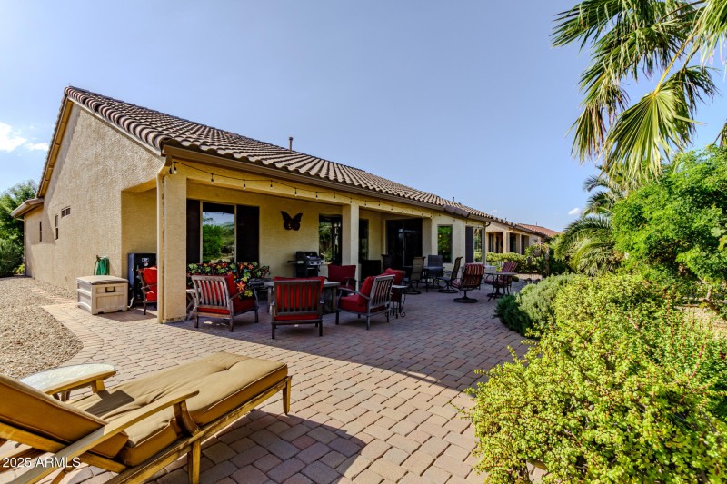 Beautiful Mature Plants