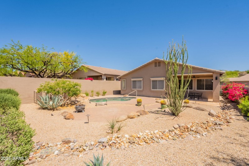 50-web-or-mls-Desert Willow-50