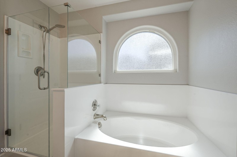 Primary Seperate Tub and Shower