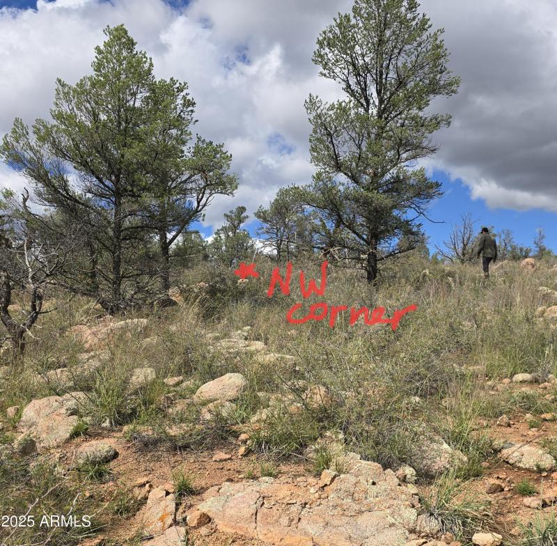 Survey Pin NW corner