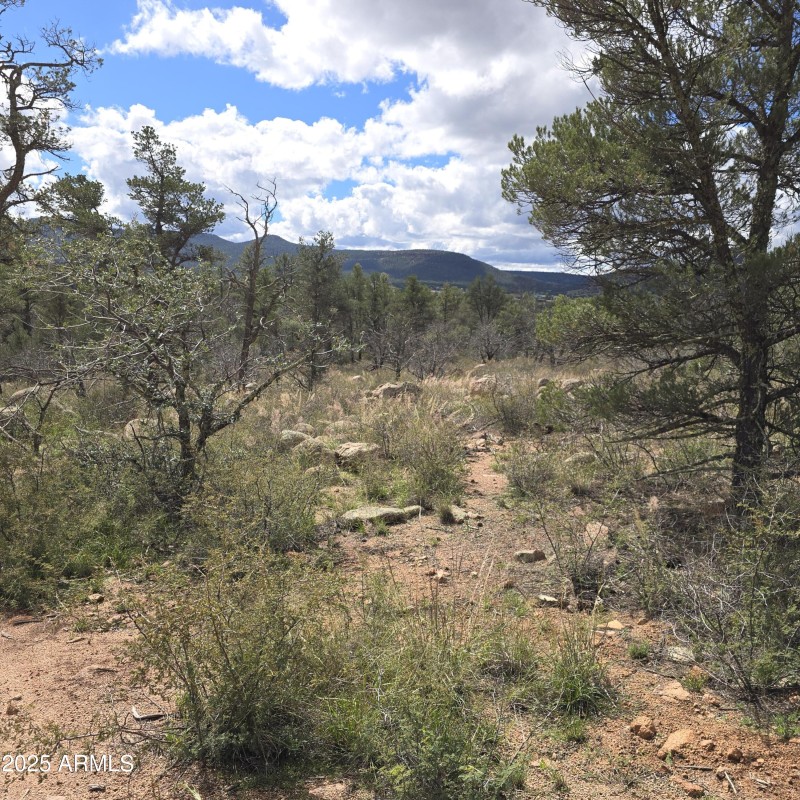 West Edge of 5 Acres