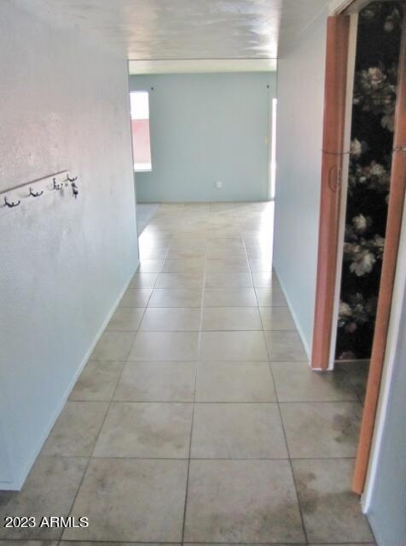 Hallway to living room/kitchen