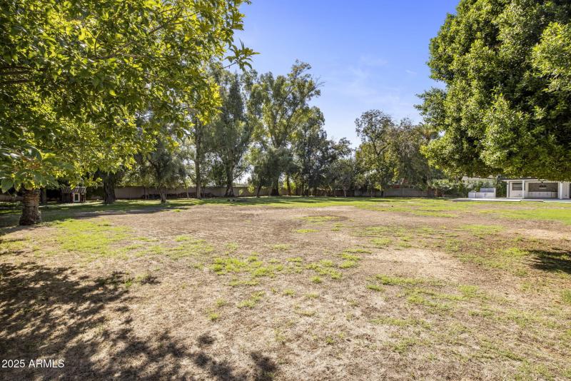 53-web-or-mls-D46A4984