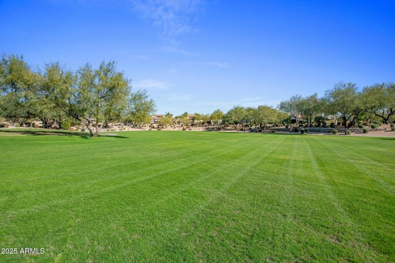 20250610024127695459000000-o