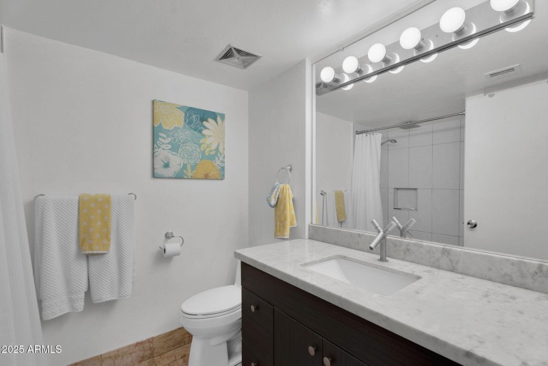 Updated Hall Bathroom