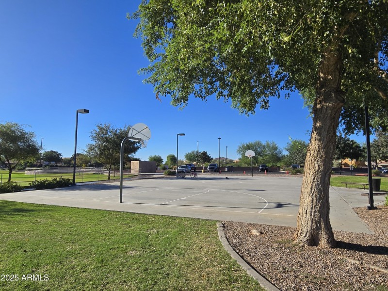 Adora Community Photos-23