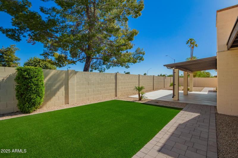 2022 Backyard Remodel