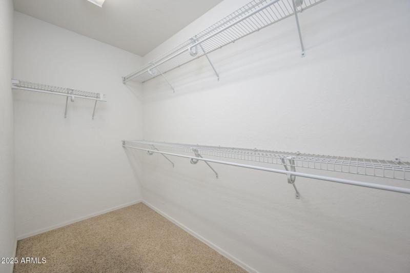 15-web-or-mls-Molly-4