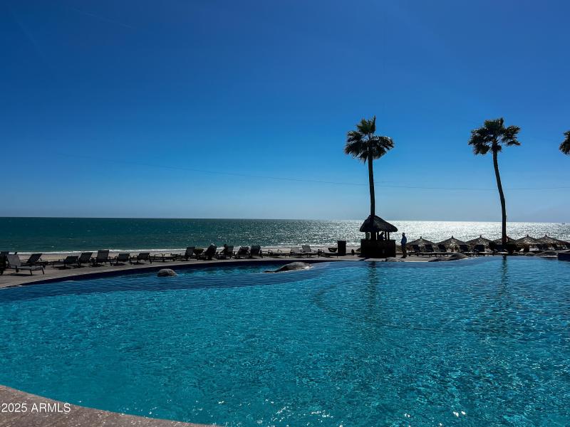 Sonoran Sea 904E-004