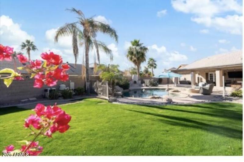 Tropical Backyard Paradise