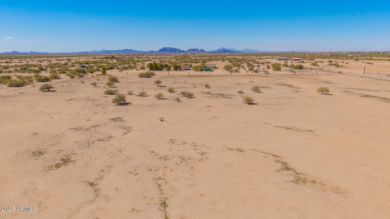 09 - 0 Pepper Tree Drone