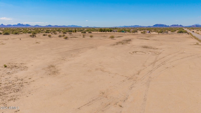 10 - 0 Pepper Tree Drone