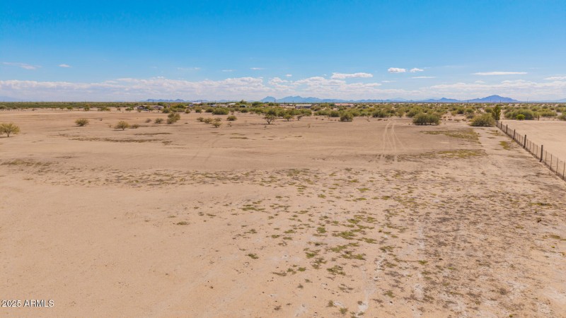 11 - 0 Pepper Tree Drone