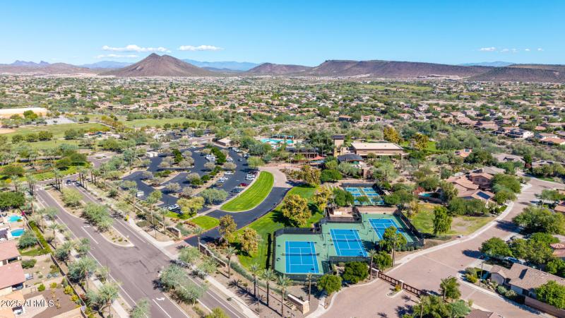 11 - Copper Leaf Drone