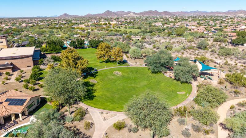 18 - Copper Leaf Drone