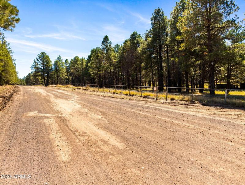 72-web-or-mls-3328 Crimson Rd-175