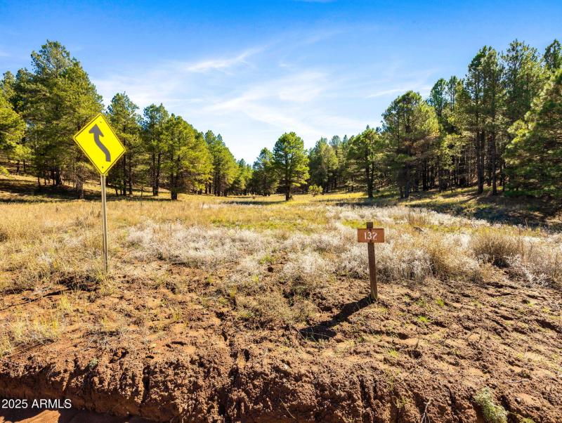 74-web-or-mls-3328 Crimson Rd-176