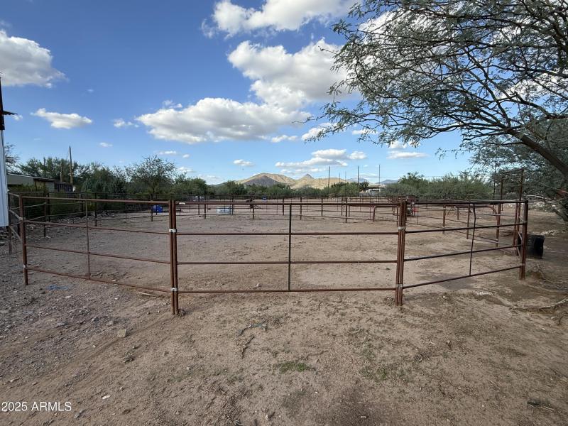 50' round pen