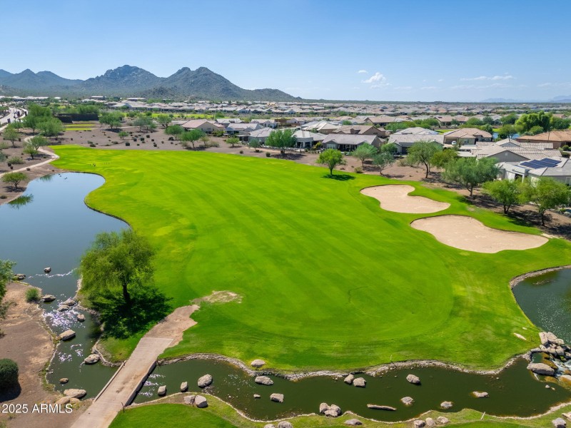 Sun City Festival - 06