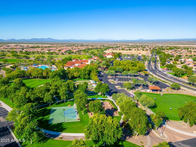 Sun City Festival - 26