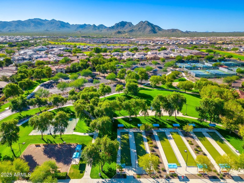 Sun City Festival - 30