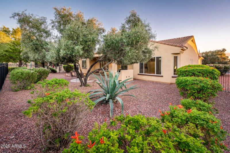 Nicely Landscaped Rear Yard