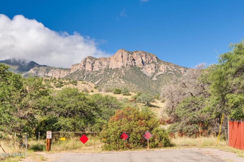 Bordering National Forest