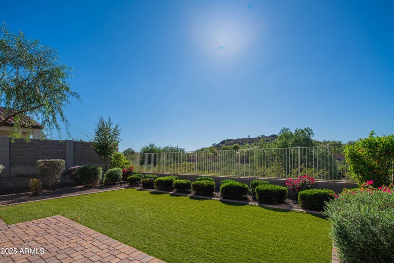 craigrootimaging_175-7