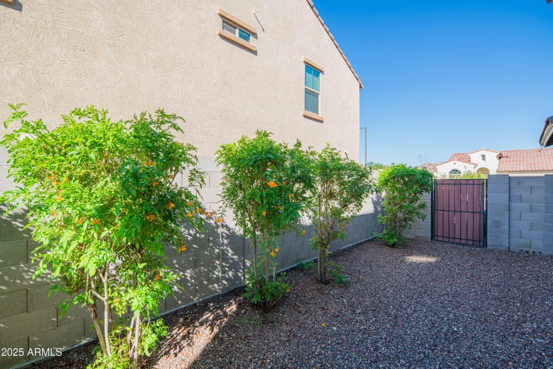 craigrootimaging_175-15