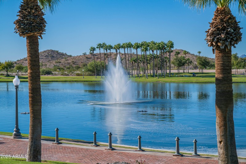 craigrootimaging_175a-1