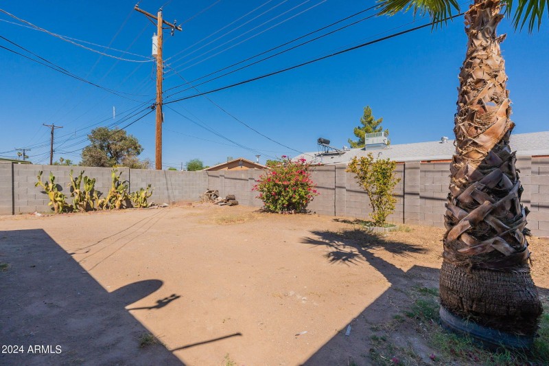 41-web-or-mls-55th-41