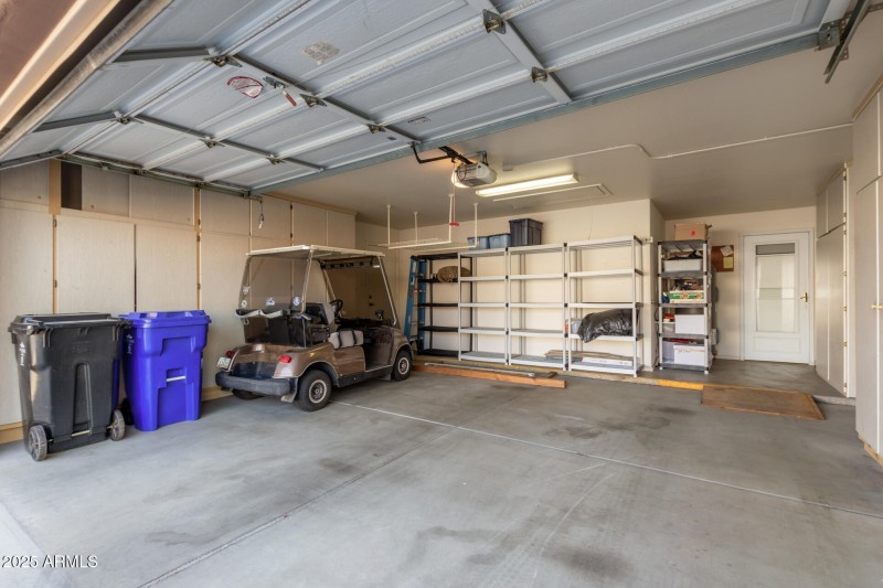 31 - Mountain Laurel